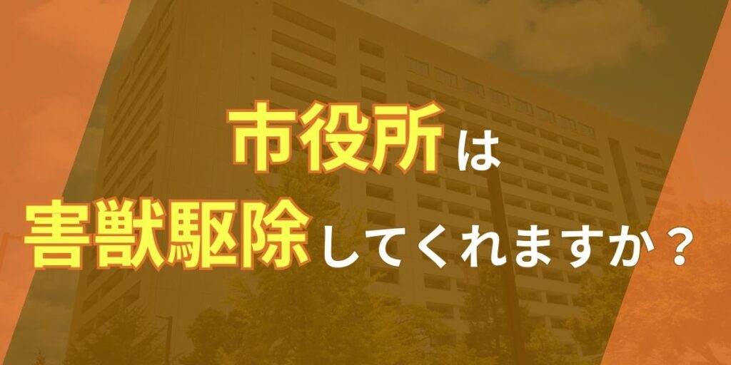 市役所は害獣駆除をしてくれますか？