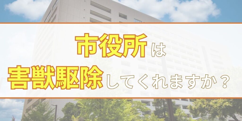 市役所は害獣駆除をしてくれますか？