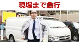 ムシプロテックステップ2