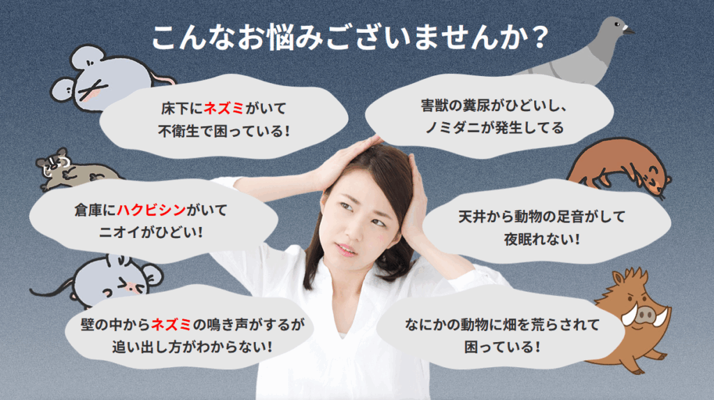 被害レベル別！自力駆除の判断基準チェックリスト　害獣退治屋さん