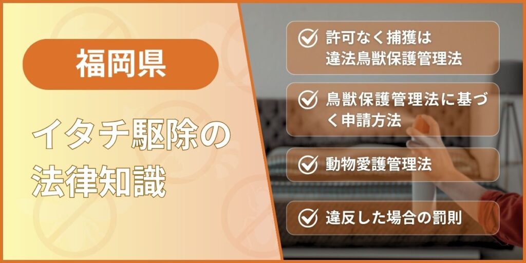 イタチ駆除の法律知識【福岡県版】