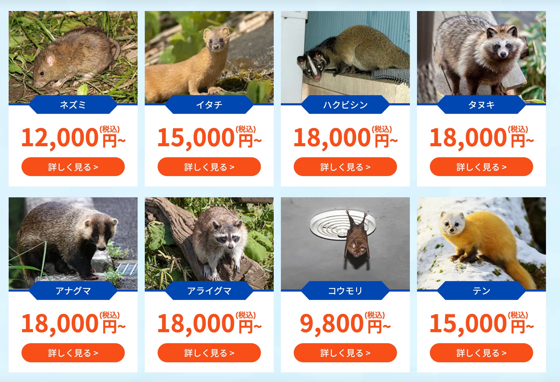 駆除の達人の料金体系と費用相場