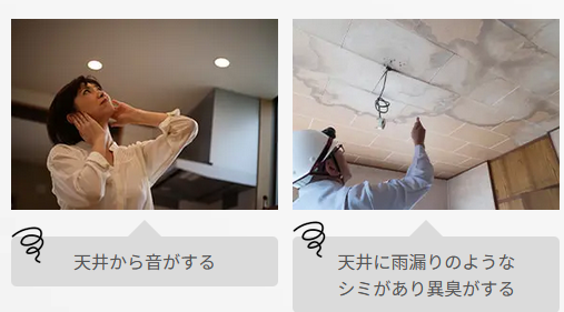 費用を左右する主な要因　駆除の達人