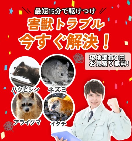 街角害獣駆除相談所