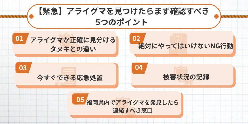 【緊急】アライグマを見つけたらまず確認すべき5つのポイント