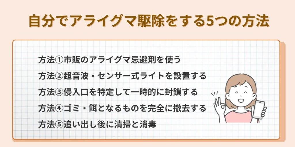 自分でアライグマ駆除をする5つの方法
