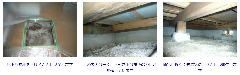 シロアリ駆除施工実績①：千葉県船橋市金杉 2階建て木造住宅