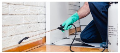 街角害獣駆除相談所 消毒