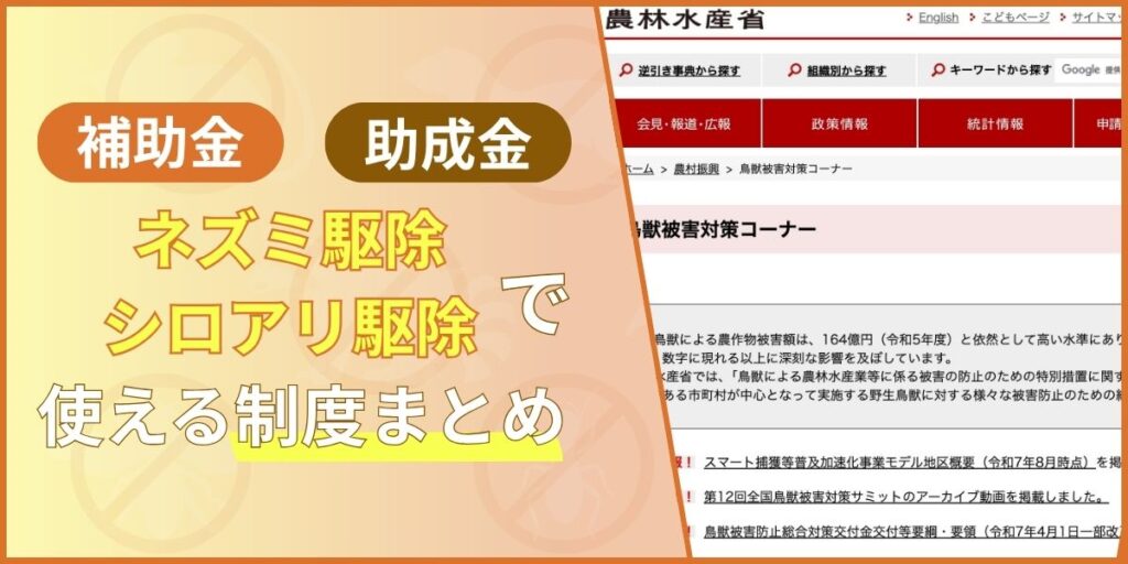 自治体の助成金・補助金を活用する方法