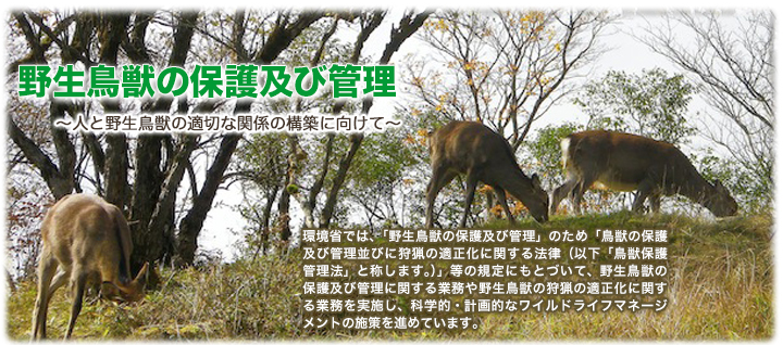 野生鳥獣の保護及び管理　環境省