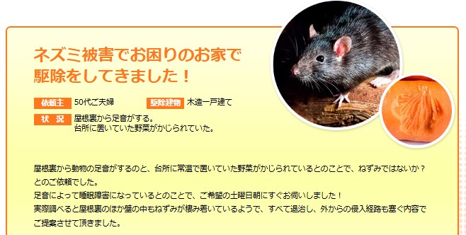 ラッター事例‐お家