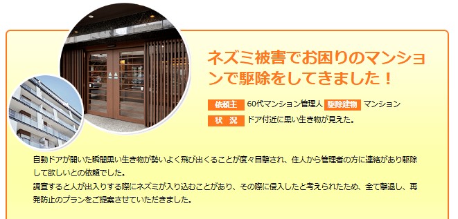 ラッター事例アパート・マンション