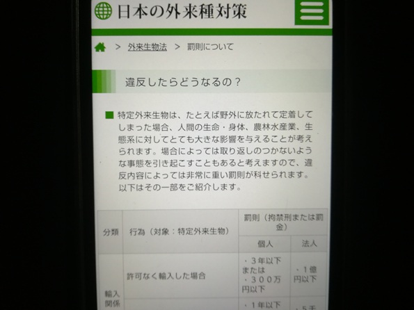 違反した場合の罰則