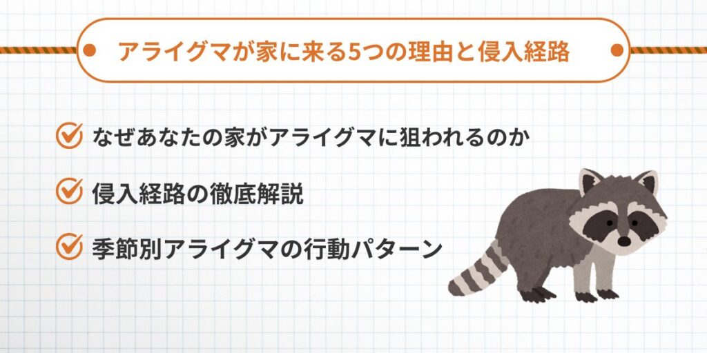 アライグマが家に来る5つの理由と侵入経路