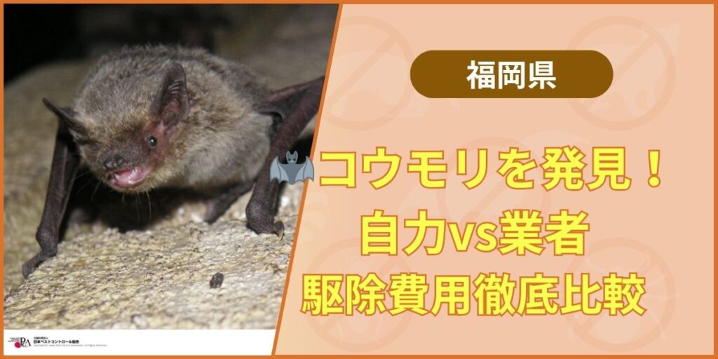 福岡コウモリ自力VS業者