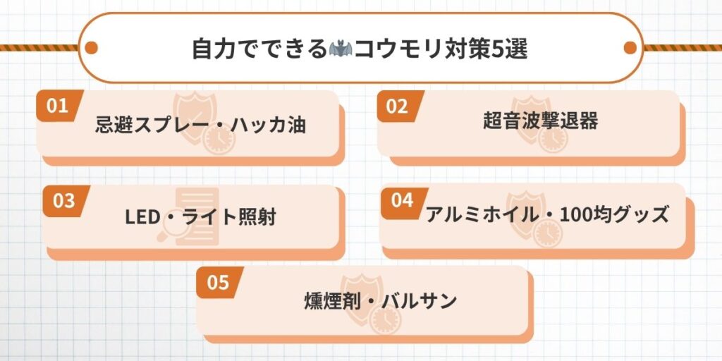 福岡コウモリ‐自力対策5選