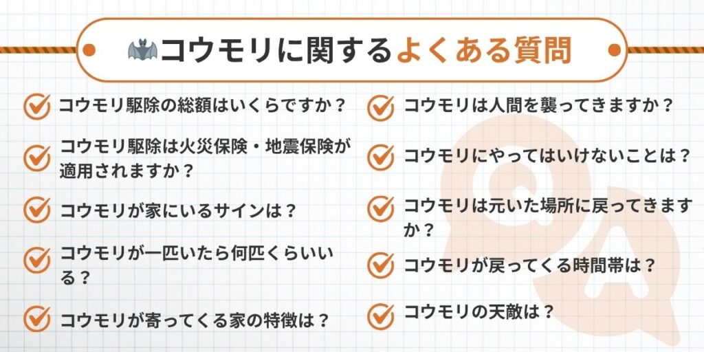 福岡コウモリ‐ヨクアル質問