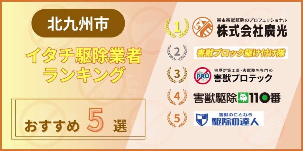 【2025年最新】北九州のイタチ駆除おすすめ業者ランキング5選