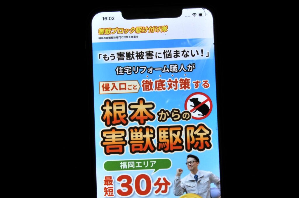 外需ブロック駆け付け隊‐福岡コウモリランキング比較