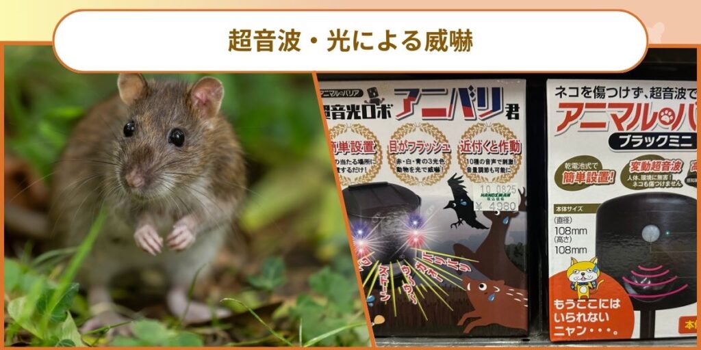 ラッター‐超音波装置