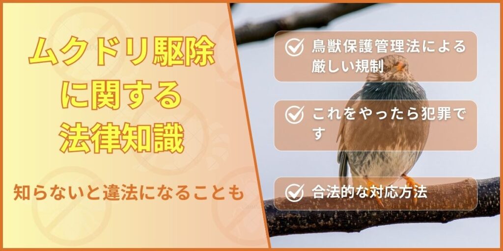 ムクドリ駆除に関する法律知識｜知らないと違法になることも