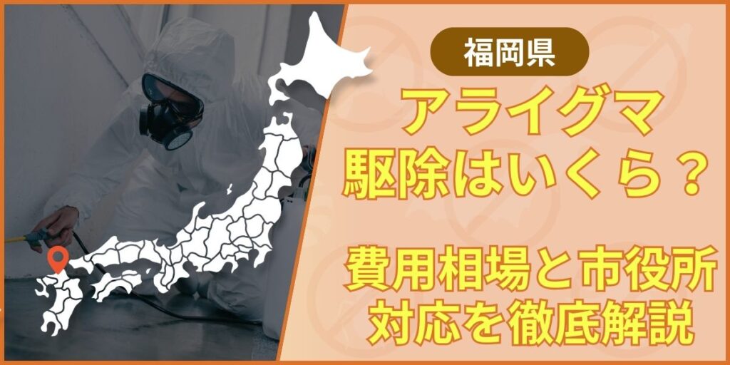 raccoon-fukuoka-eyecatching