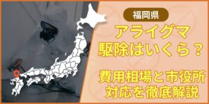 raccoon-fukuoka-eyecatching