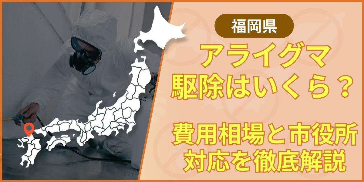 raccoon-fukuoka-eyecatching