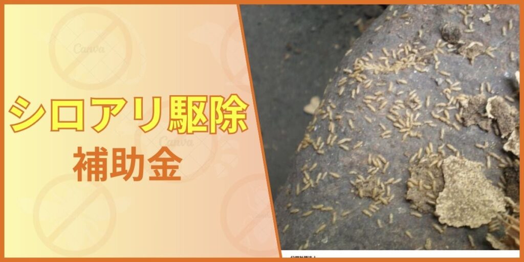 シロアリ駆除の補助金