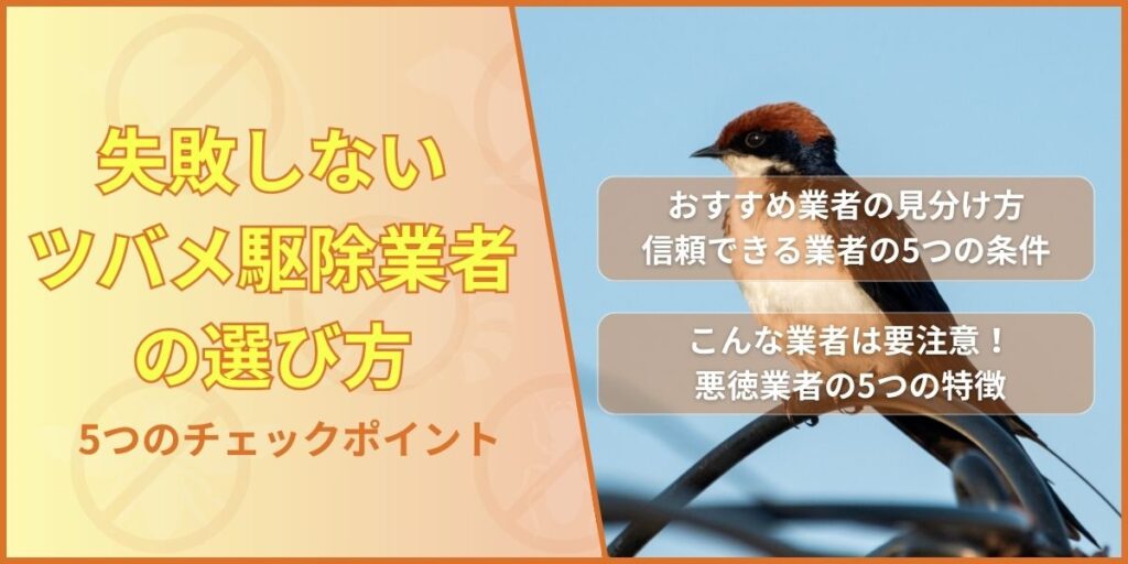 失敗しないツバメ駆除業者の選び方｜5つのチェックポイント