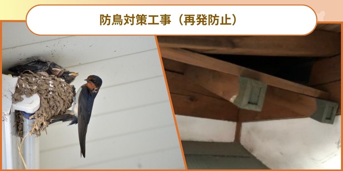 防鳥対策工事（再発防止）