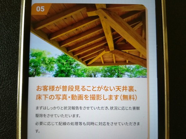 チェックポイント③ 丁寧な現地調査を実施