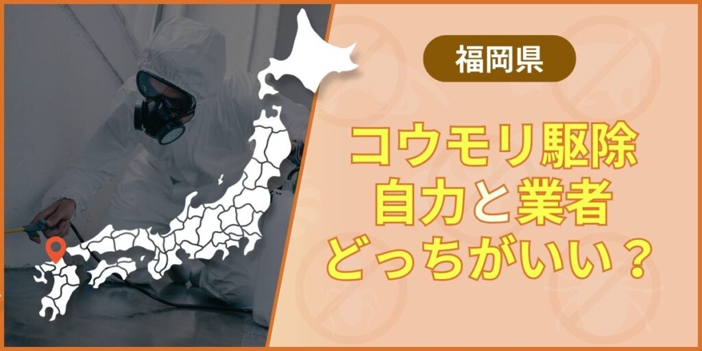 福岡こうもり駆除‐アイキャッチ